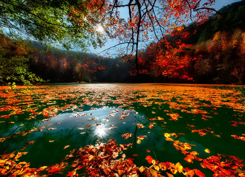 yellow-turkey-tour-img-12